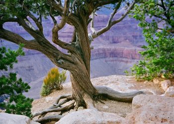 De top 10 mooiste nationale parken ter wereld om te bezoeken