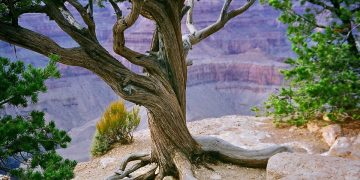 De top 10 mooiste nationale parken ter wereld om te bezoeken