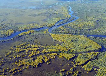 Vijf onontdekte vakantiebestemmingen in Zuid-Amerika